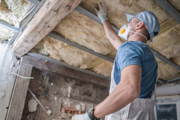  Buena Vista, MI Insulation Contractor Pros